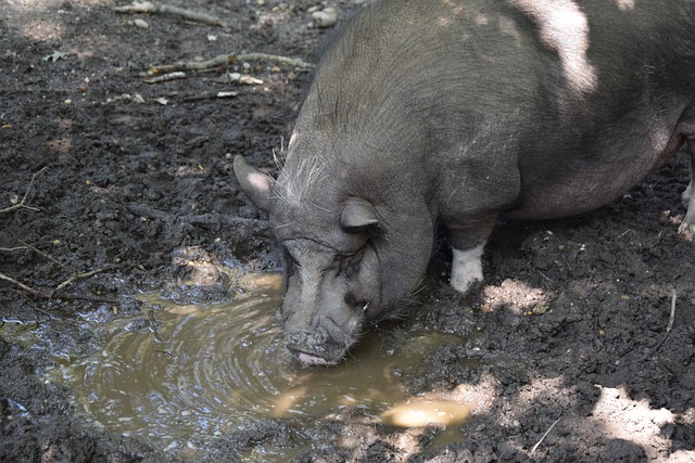 格在职业生 格在职业生