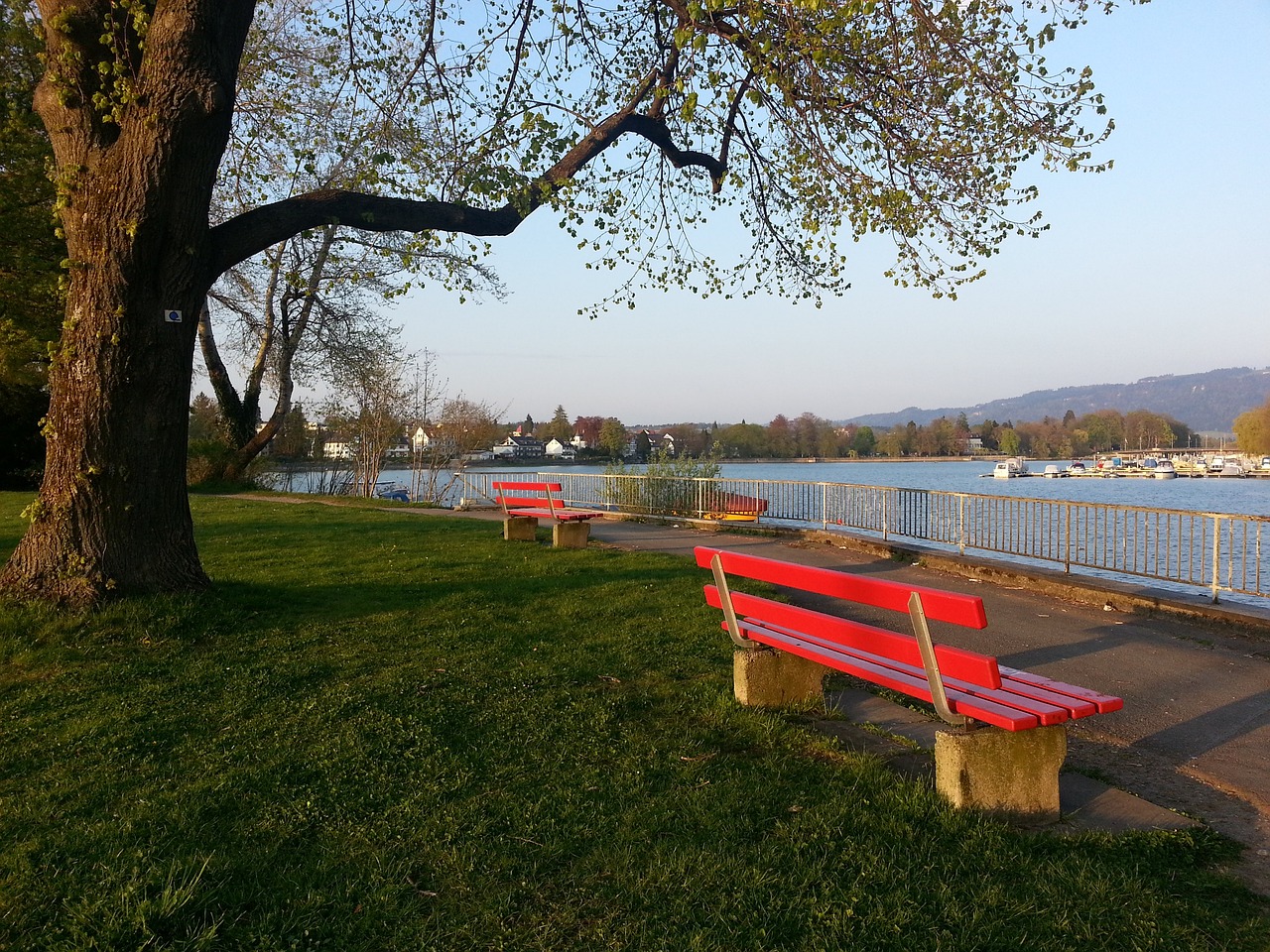 球員正處於 球員正處於