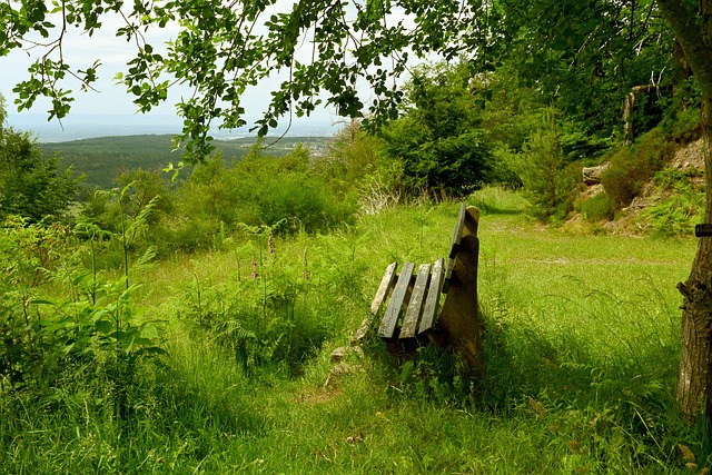 足球比赛不 足球比赛不